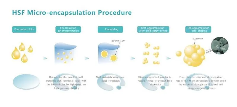product-800-363 Micro-encapsulation