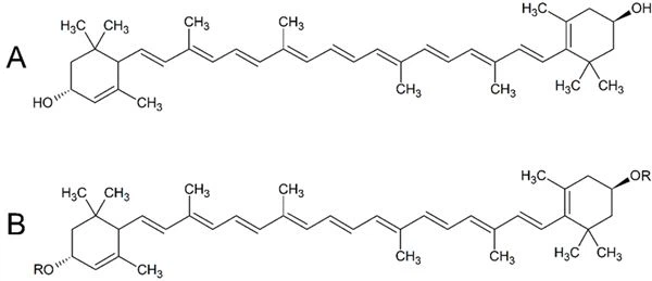 Lutein vs Lutein Esters Lutein vs Lutein Esters