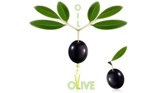 Olive Leaf Extract Powder