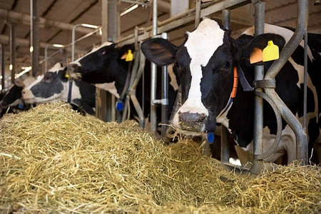 info-612-408 info-612-408